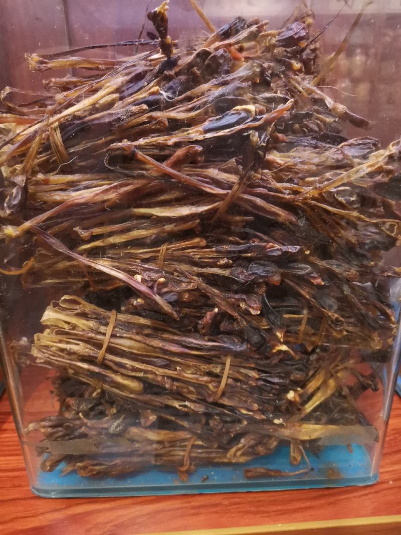 优质狗鞭货干价格实惠量大从优欢迎选购