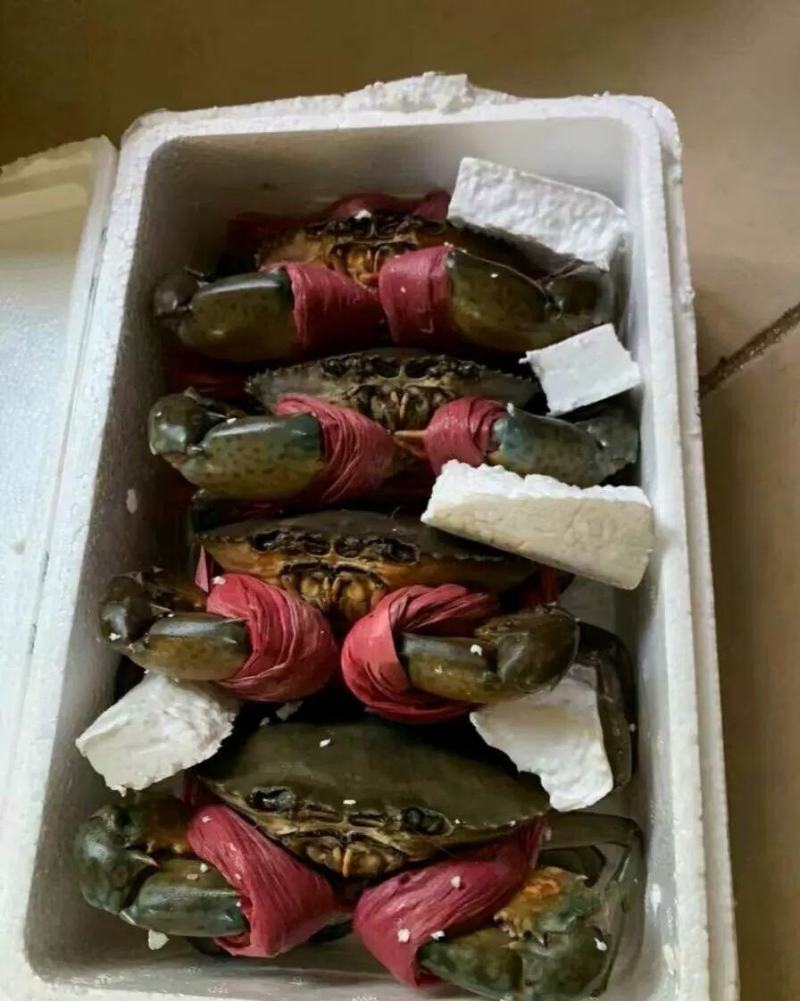 北海青蟹，膏蟹