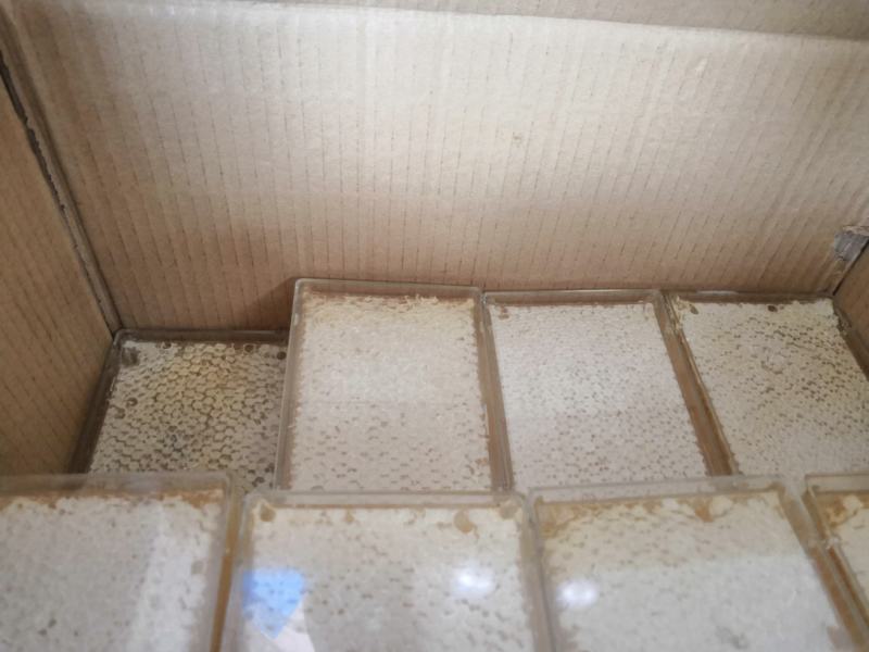 高封盖蜂巢蜜2023新品蜂场现货供应