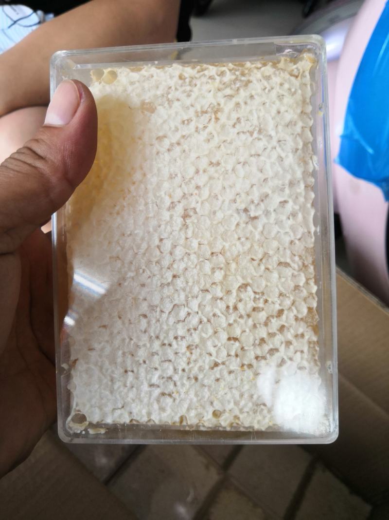 高封盖蜂巢蜜2023新品蜂场现货供应