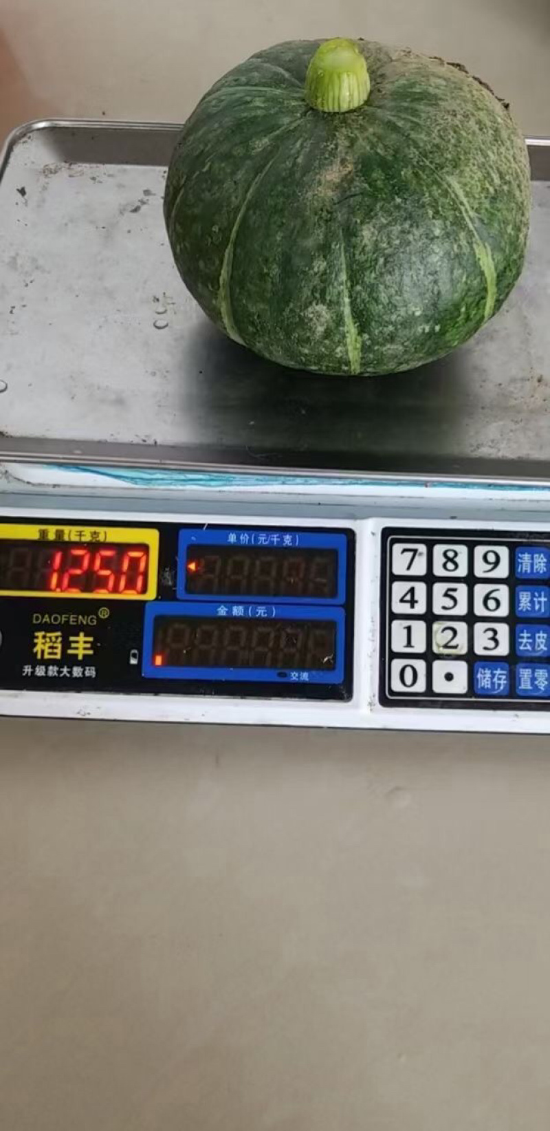 精品板栗南瓜，基地直供，保质保量，欢迎大家选购