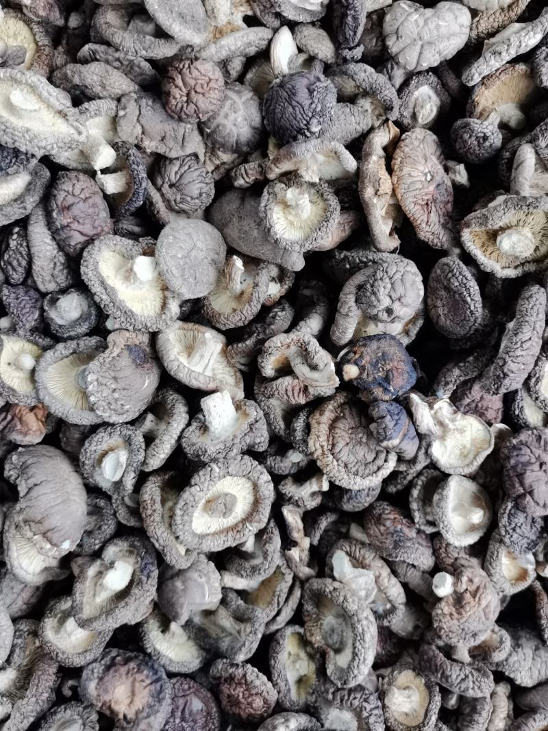 通货干香菇价格优惠品质保证一手货源大量存货欢迎采购