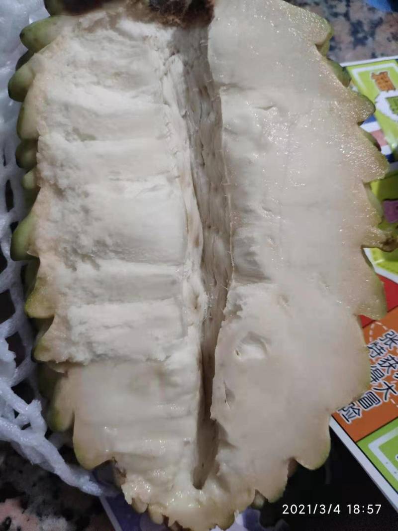 榴莲释迦果苗，正宗台湾榴莲释迦