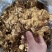 茶树菇高仿干茶树菇颜色好干度好地摊热销产品