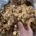 茶树菇高仿干茶树菇颜色好干度好地摊热销产品