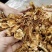 茶树菇高仿干茶树菇颜色好干度好地摊热销产品