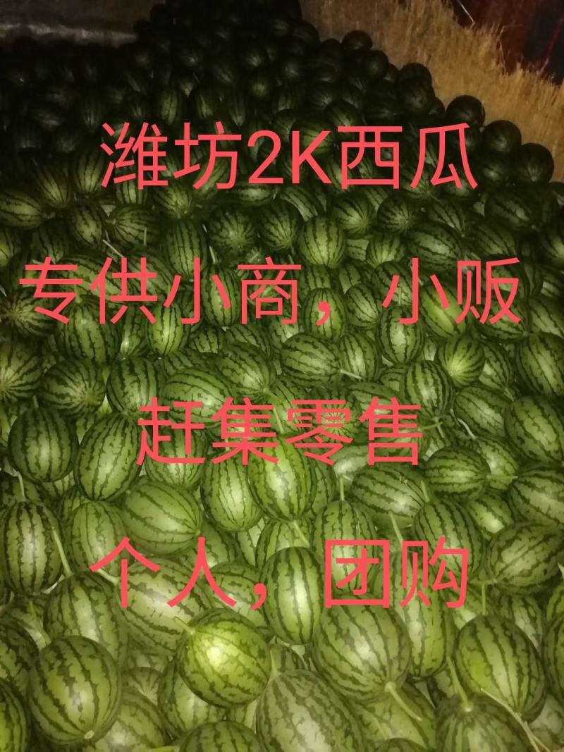 山东潍坊全美2K小西瓜二茬大量上市，价格优惠量大从优