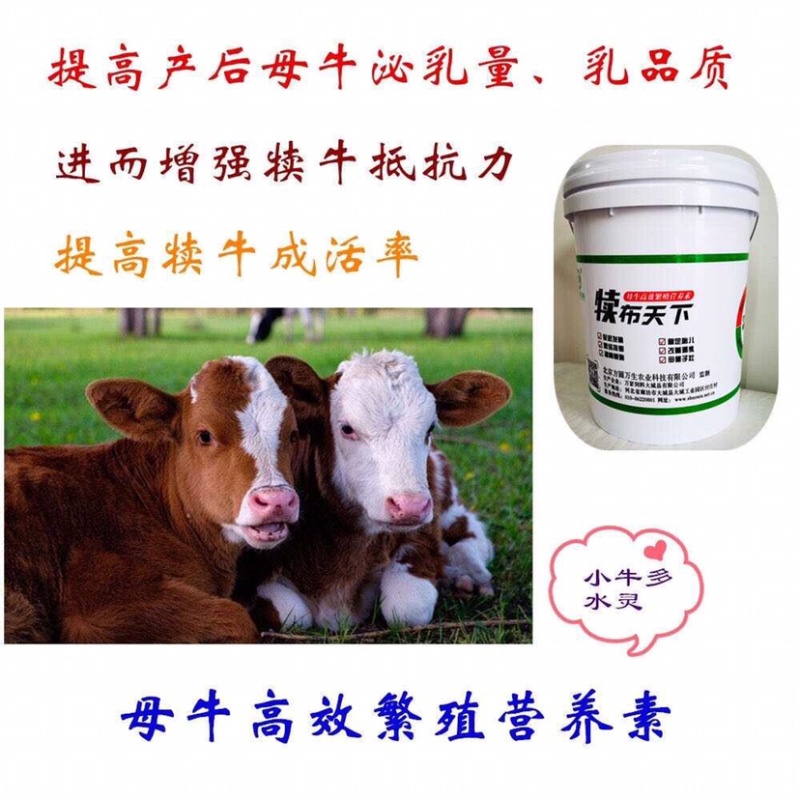 繁殖母牛饲料添加剂补充维生素矿物质微量元素促孕正品保证