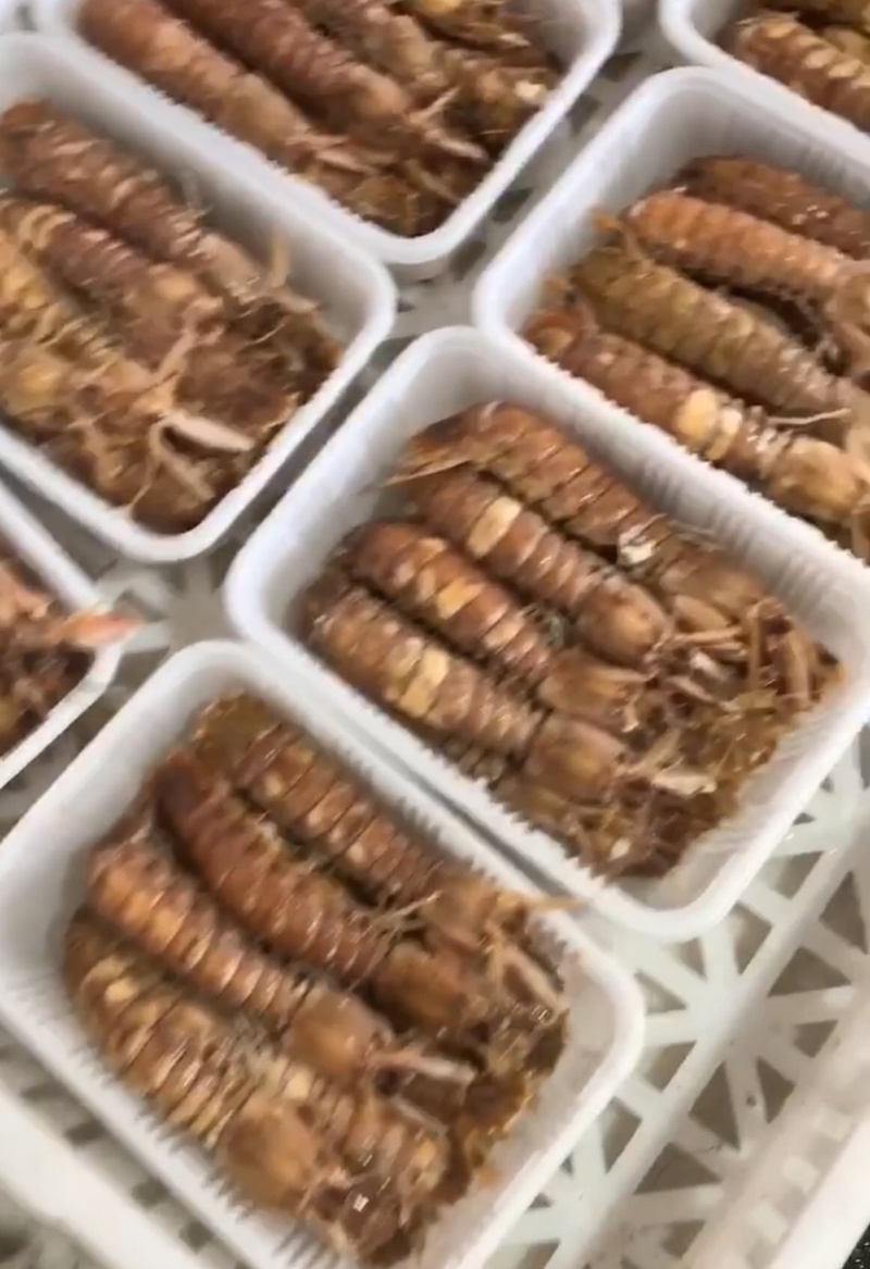 熟冻皮皮虾大公虾婆婆蒸熟虾姑虾爬子新鲜海鲜水产鲜活虾爬