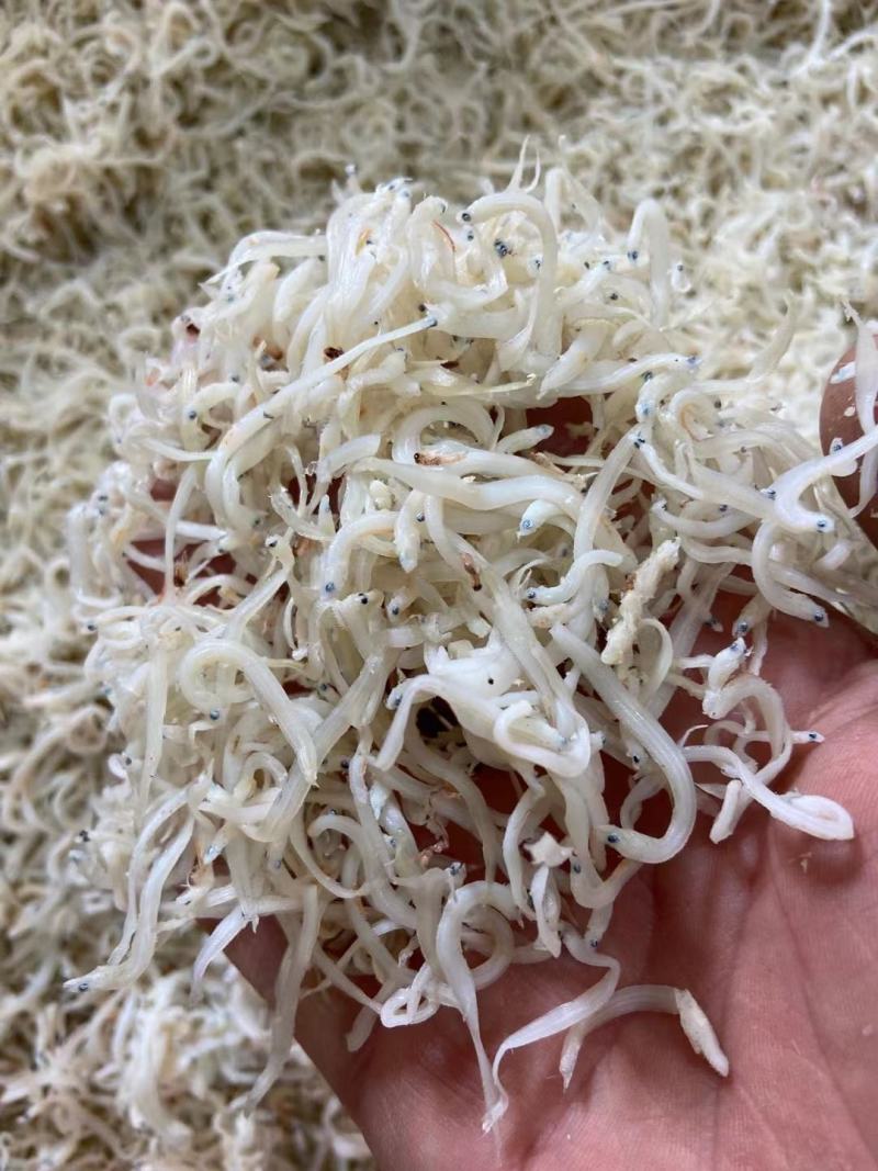 面条鱼，凤尾鱼，一手货源，脱盐淡干！大量现货
