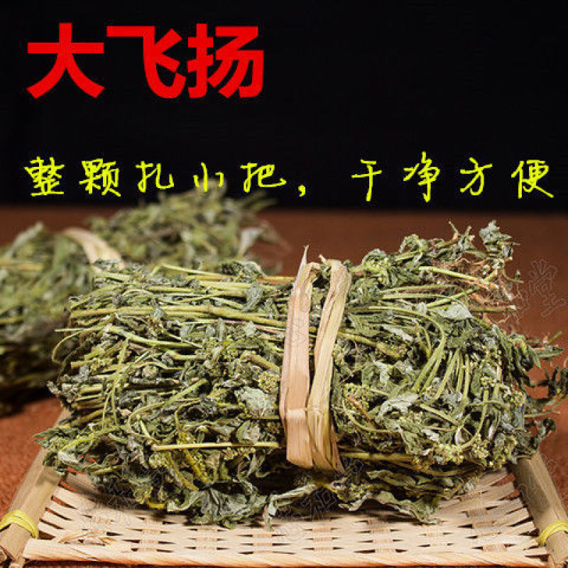 精选飞扬草500g/250g中草药大飞扬草中药材
