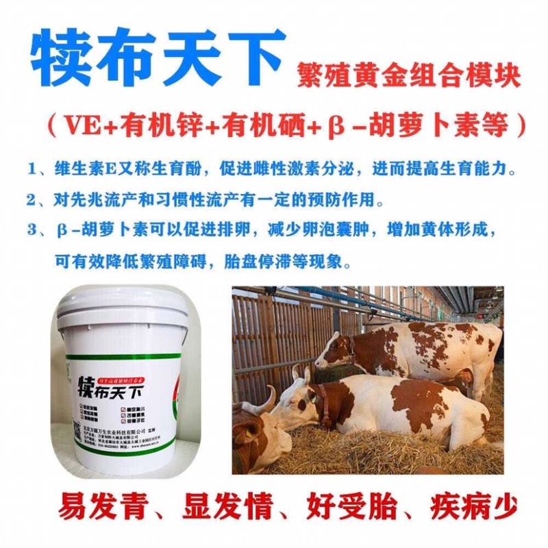 饲料添加剂补充维生素矿物质微量元素促进母牛发情促进孕率