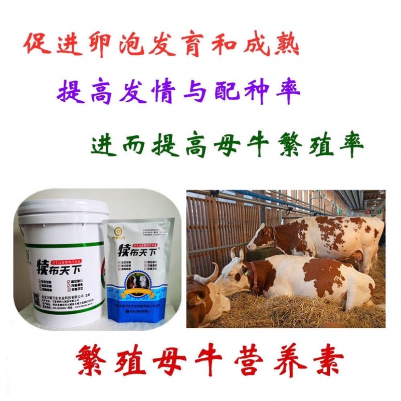 饲料添加剂补充维生素矿物质微量元素促进母牛发情促进孕率