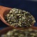 中药材浮萍新货紫背浮萍草干浮萍包邮大叶浮萍干货
