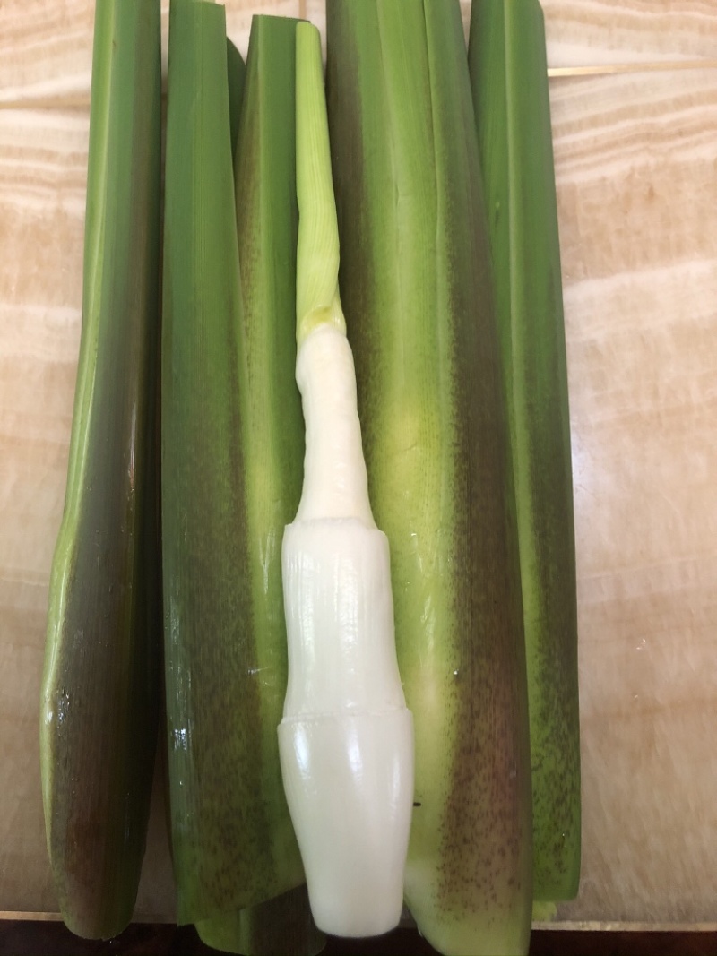 德清双季茭白