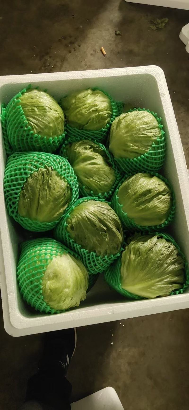 生菜