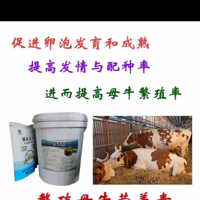 犊布天下牛羊速补剂促进消化，促进吸收
