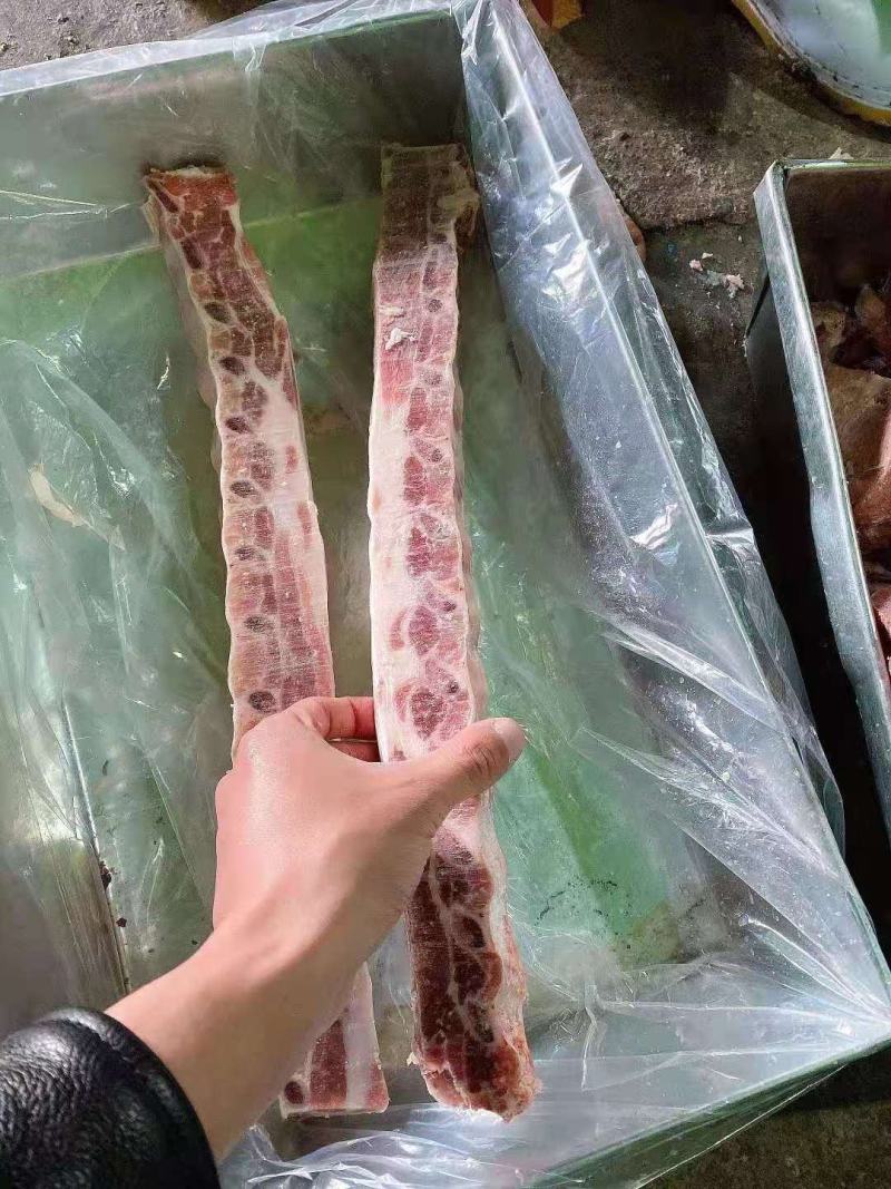 猪排骨排段精肋排多肉排骨寸排食堂快餐店肋排条