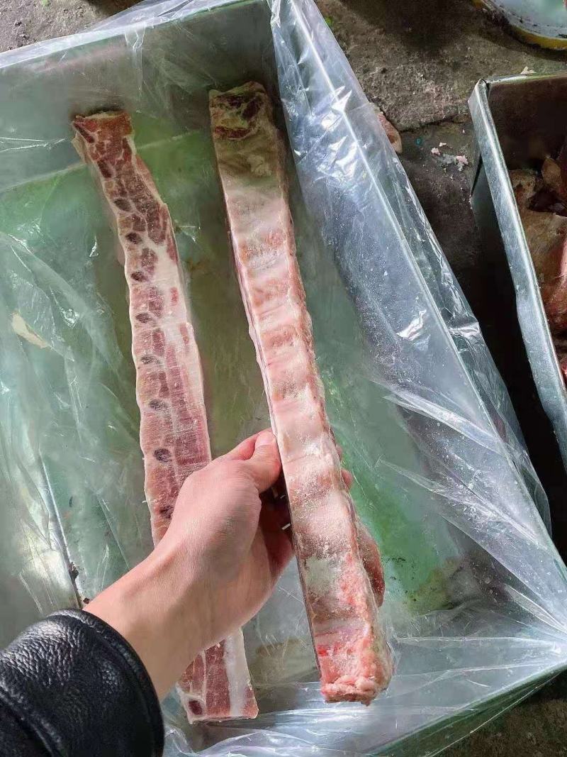 猪排骨排段精肋排多肉排骨寸排食堂快餐店肋排条