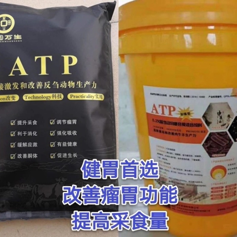 瘤胃动力助消化牛羊毛毛亮促进牛羊胃动力补充营养促进吸收