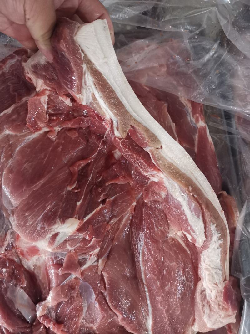 前五花肉后五花肉前腿五花后腿五花肉前上肉后上肉批发前五花