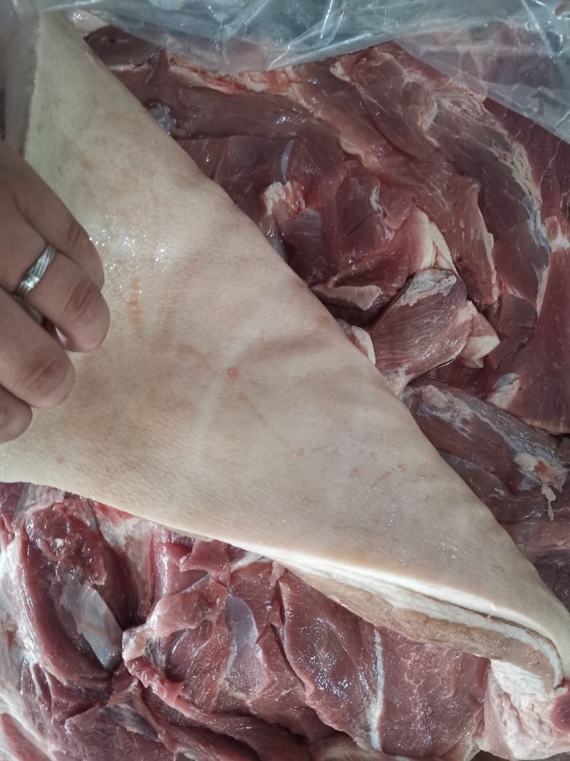 前五花肉后五花肉前腿五花后腿五花肉前上肉后上肉批发前五花