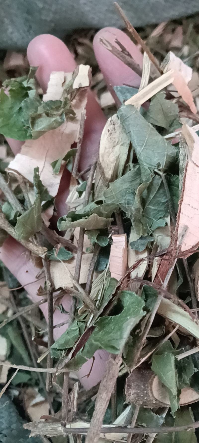 七大姑，算盘木，价格优惠，量大从优