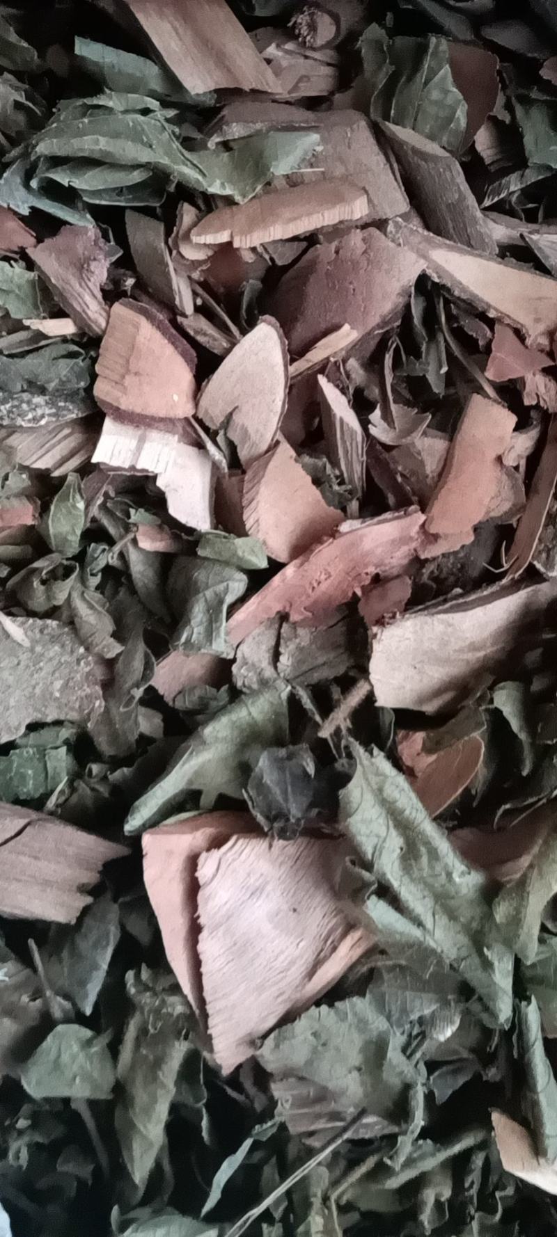 七大姑，算盘木，价格优惠，量大从优