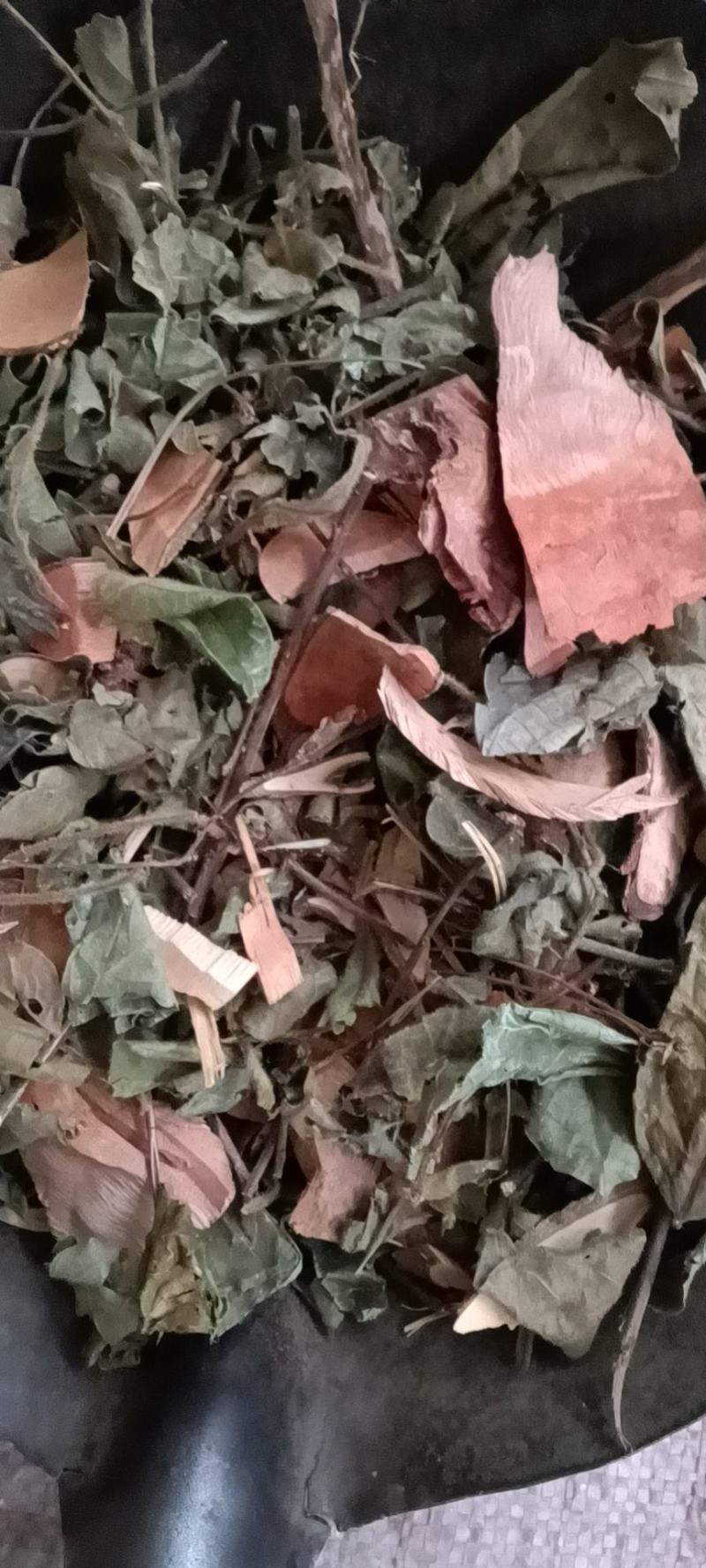 七大姑，算盘木，价格优惠，量大从优