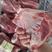 猪扇骨带肉率百分之五十多肉棒骨多肉扇骨筒骨猪翅板扇子骨