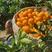 纽荷尔脐橙秭归特产果皮薄细腻汁多肉嫩香甜可口保质保量