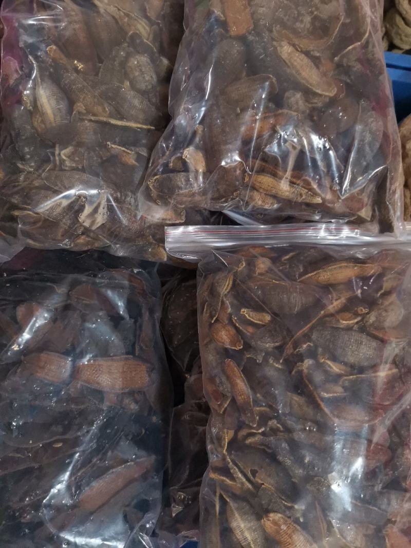 优质清水吊干黑水蛭宽体金线水蛭量大从优规格齐全