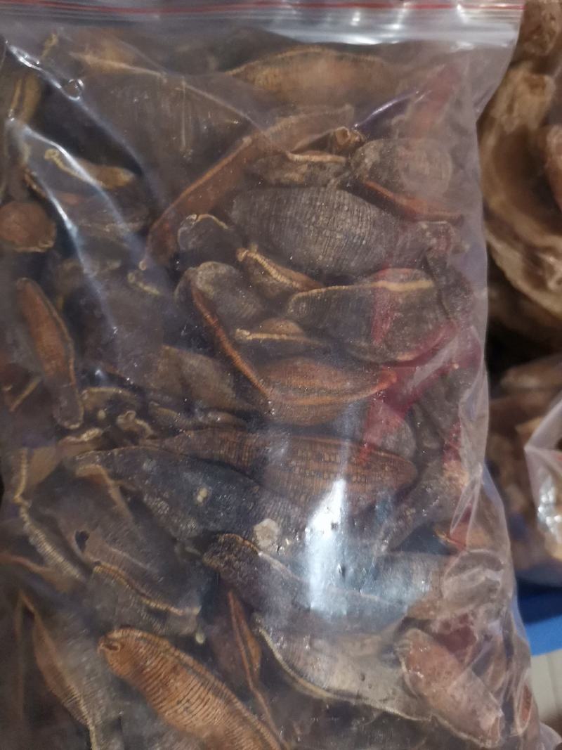 优质清水吊干黑水蛭宽体金线水蛭量大从优规格齐全
