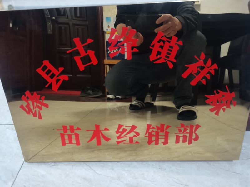 石榴树，质量保证，价格优惠