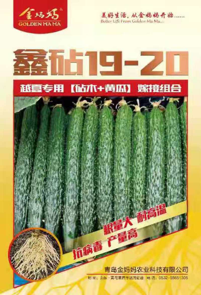 广西种苗基地产地直销，全年供应，代育加工