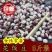 红芸豆农家红芸豆熬粥红芸豆五谷杂粮红芸豆5斤装包邮