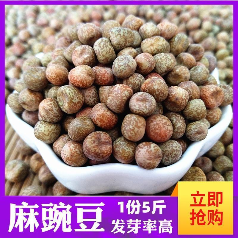 红芸豆农家红芸豆熬粥红芸豆五谷杂粮红芸豆5斤装包邮
