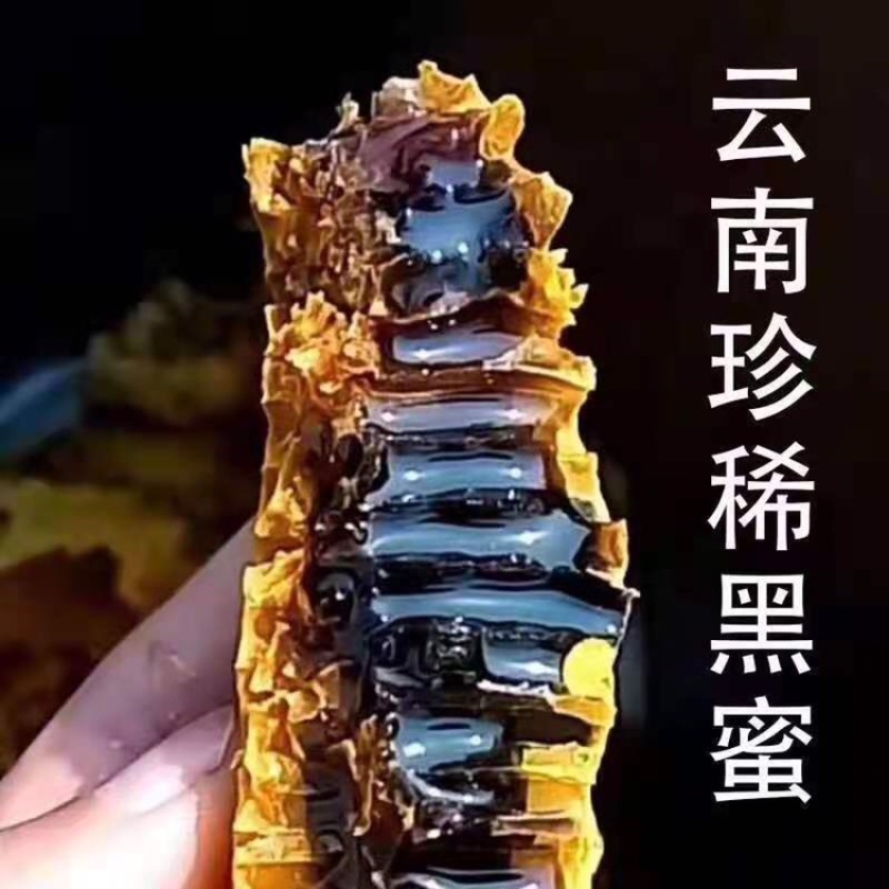 云南黑蜜/米团花蜜纯野生味道香浓一瓶一斤