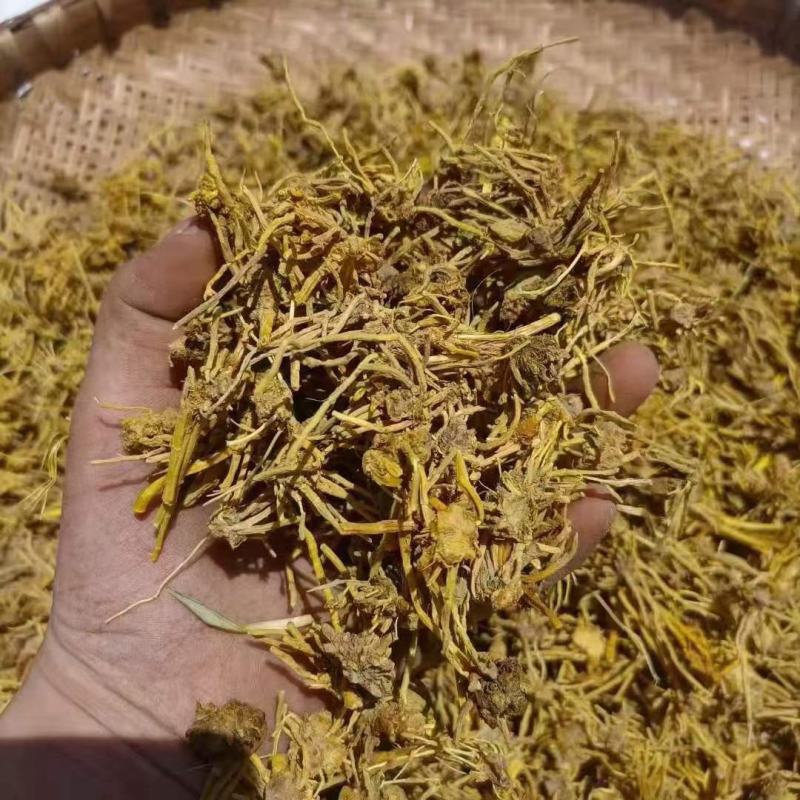 黄龙草根茶黄龙草头茶颜色干度好现货供应价格美丽