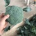 精品蔬菜大量上市，东西质量好