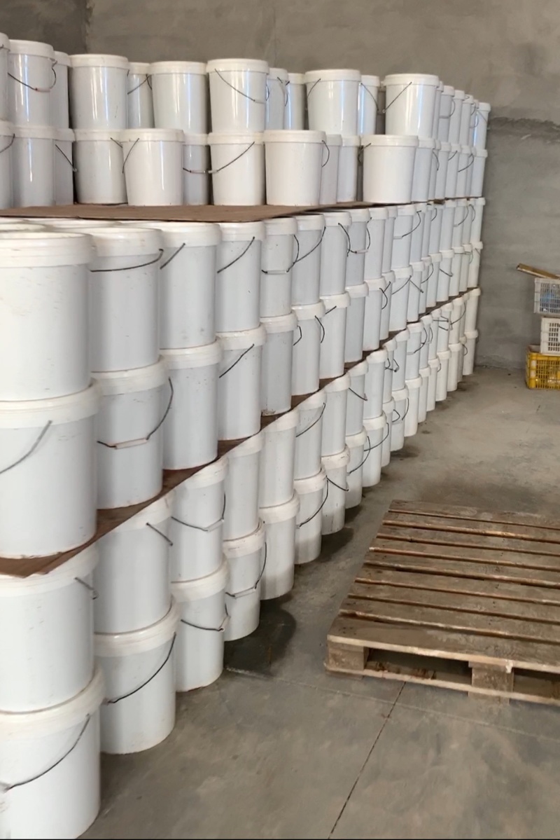精品海蜇丝白花丝珊瑚海蜇丝批发工厂直发资质齐全一手货