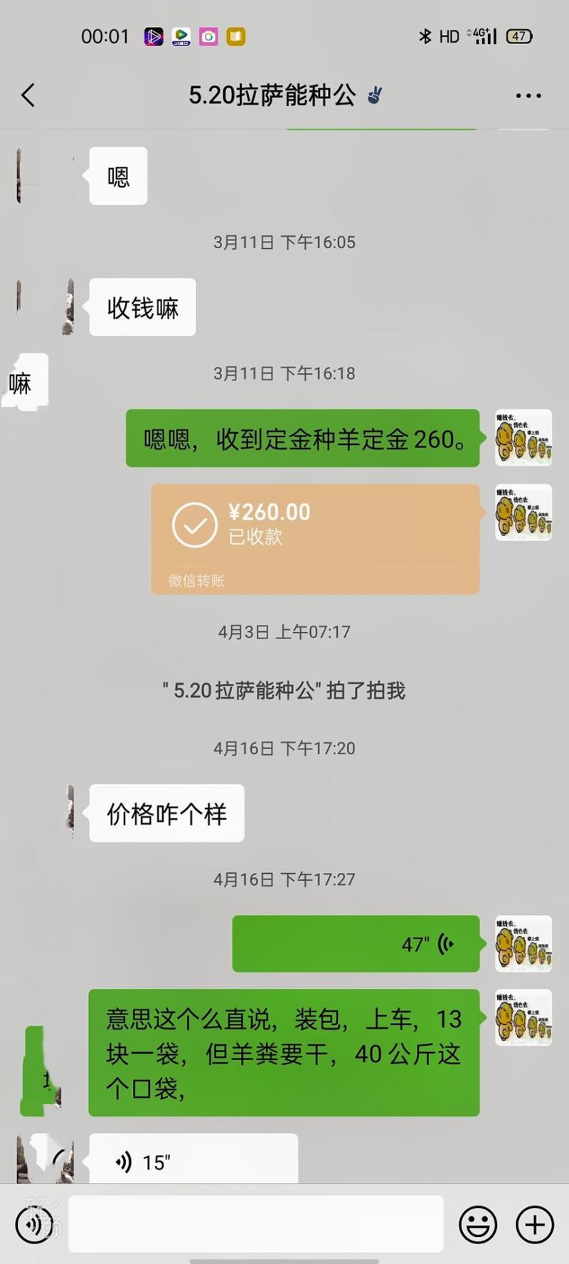 种羊