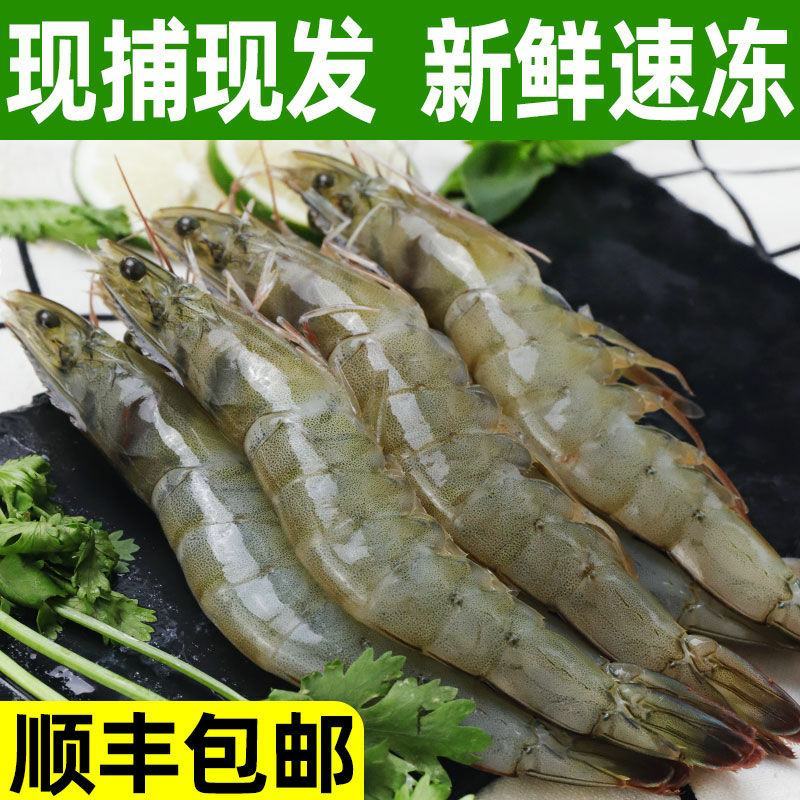 基围虾新鲜青岛大虾鲜活冷冻超大基围虾青虾特大号海虾大虾