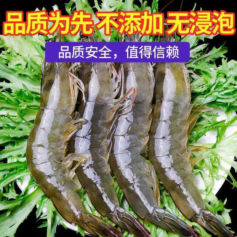 基围虾新鲜青岛大虾鲜活冷冻超大基围虾青虾特大号海虾大虾