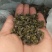 高山云雾有机绿茶