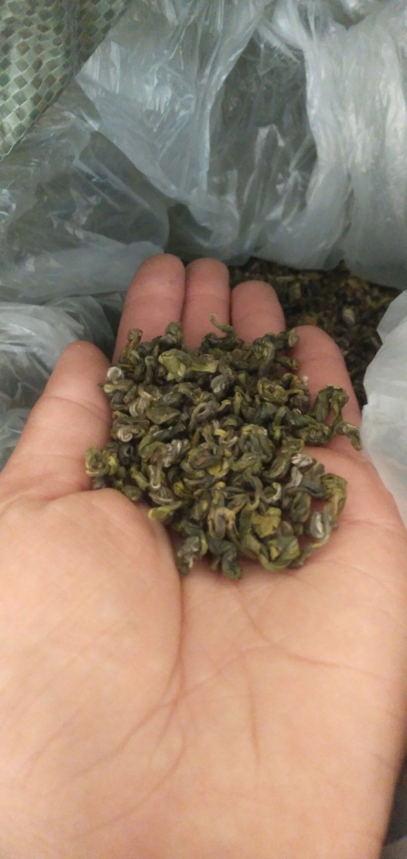 高山云雾有机绿茶