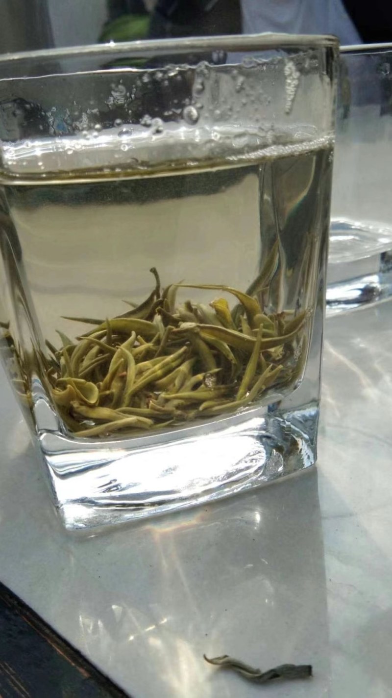 高山云雾有机绿茶