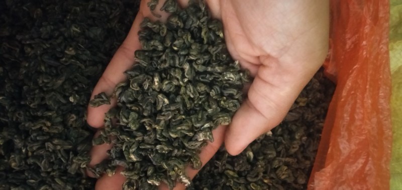 高山云雾有机绿茶