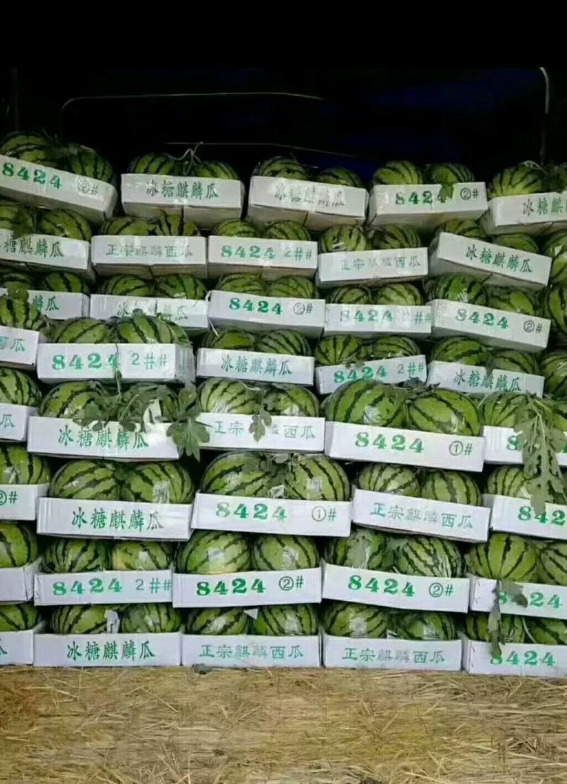 精品西瓜甜王，产地提供，质量保证，支持代发大量上市支持代