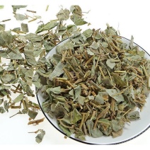 野生金钱草新鲜晒干广金钱草天然大叶中草药干货溶石排石泡茶